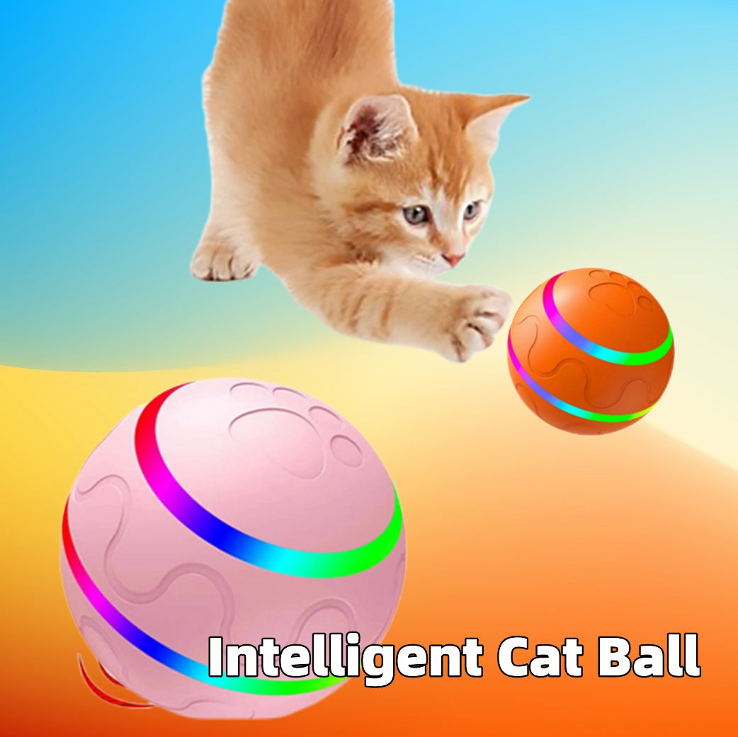 Interactive USB Cat Ball Toy