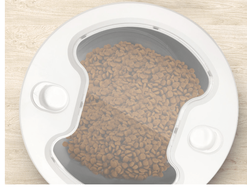 Smart Pet Auto Food Dispenser