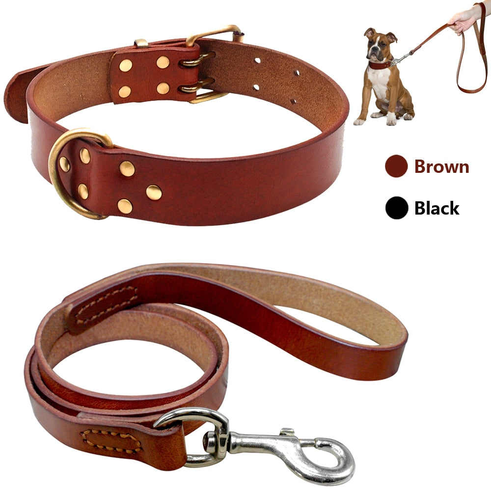 Leather Dog Collar & Leash
