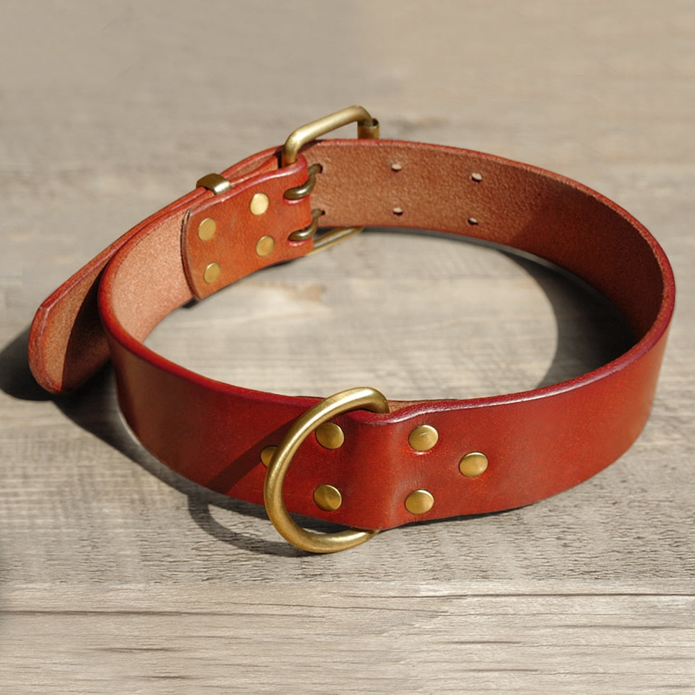 Leather Dog Collar & Leash