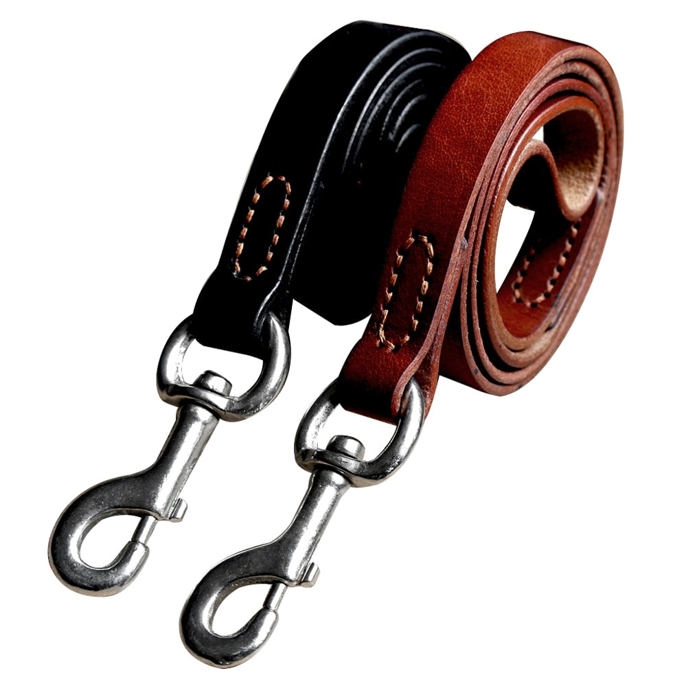 Leather Dog Collar & Leash
