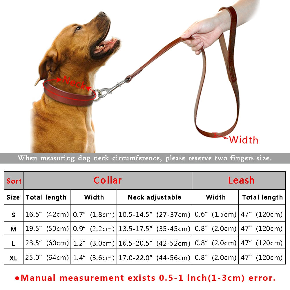 Leather Dog Collar & Leash