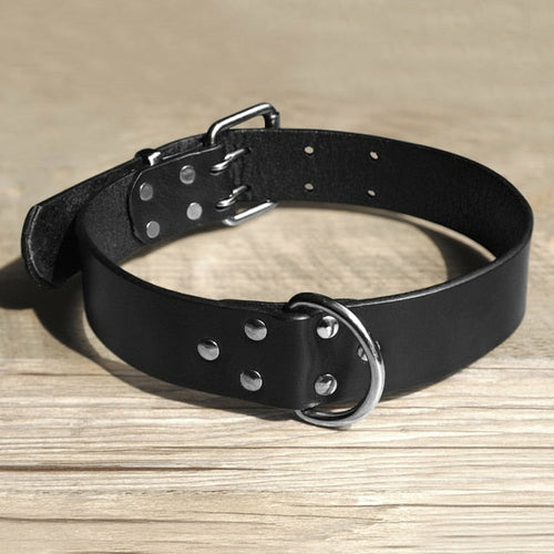 Leather Dog Collar & Leash
