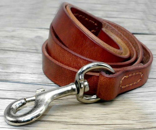 Leather Dog Collar & Leash