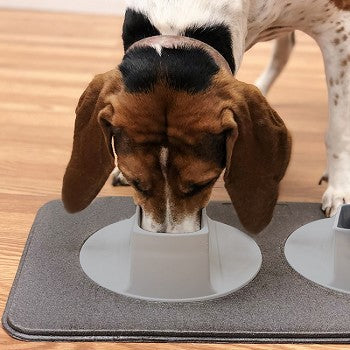 EarSafe Dog Feeding Station